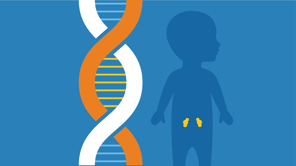 A Genetic Clue To Glomerular Kidney Disease In Children