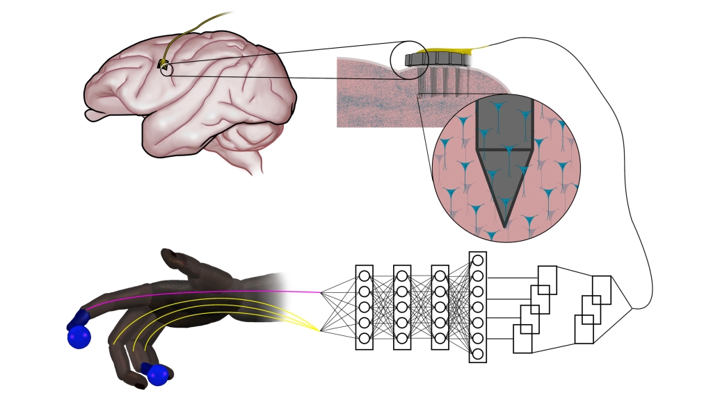 State of the art fashion neural network