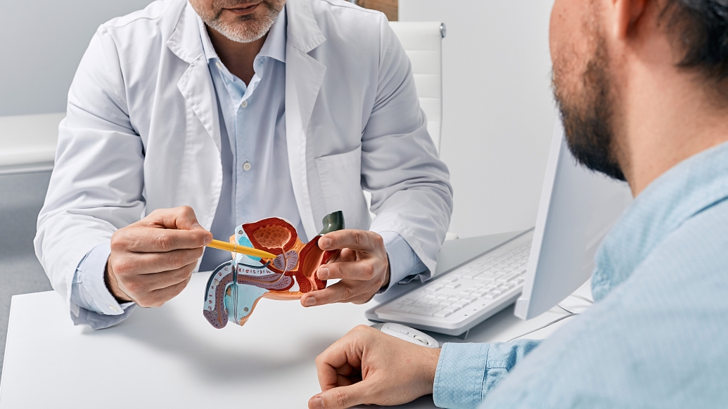 Physician holds model of prostate and points to it for patient