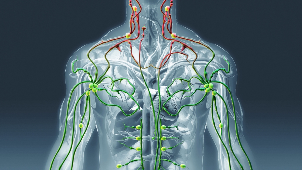 body see through veins red and then green