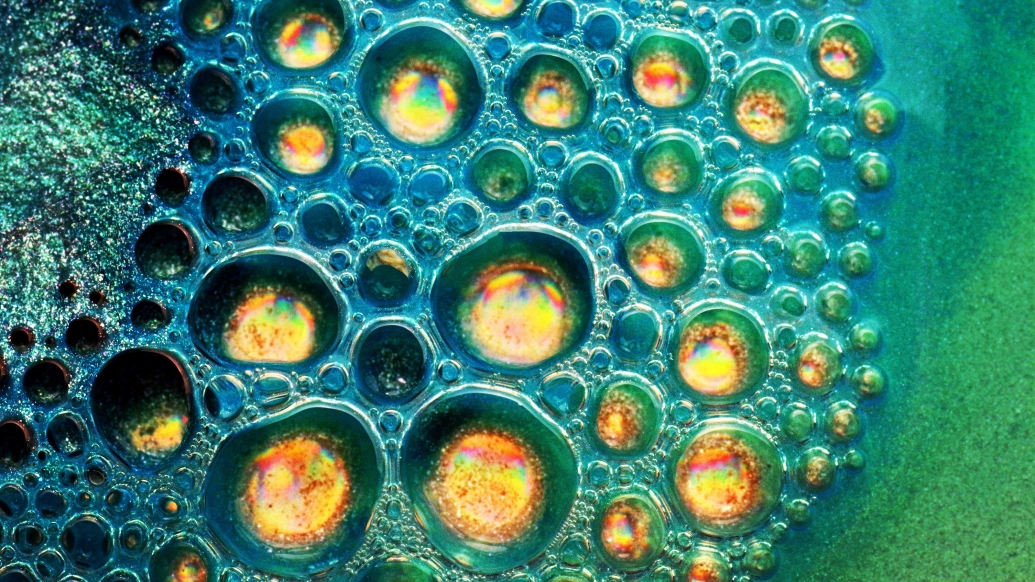 close up of yellow cells and blue greenish teal background