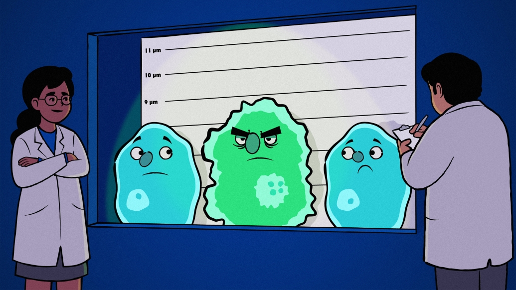 drawing of three cells up against a wall behind glass, with two being blue and seeming innocent and the other green in the middle and angry, and scientists judging them and taking notes