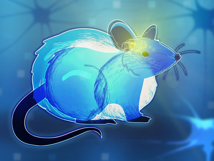 rat in blue with yellow bright brain with blue abstract background