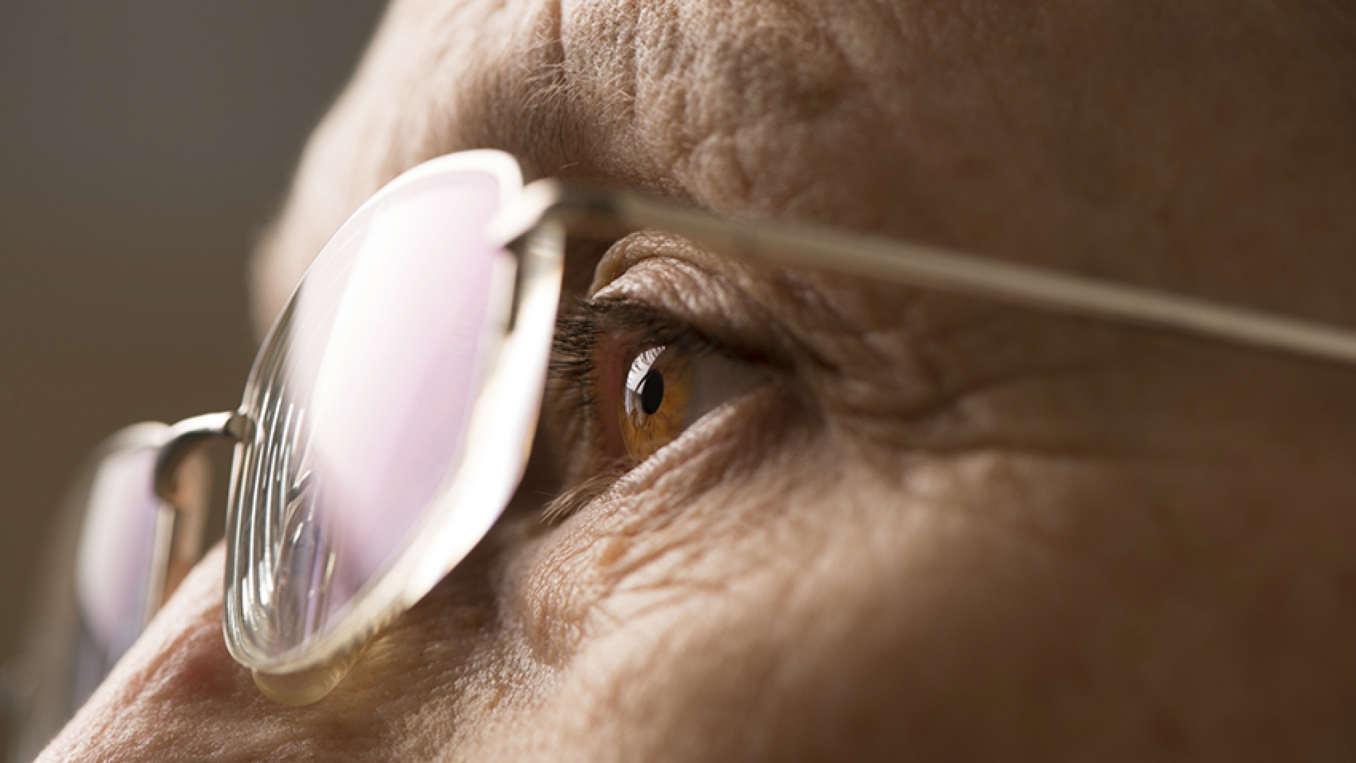 what-is-the-difference-between-wet-or-dry-macular-degeneration