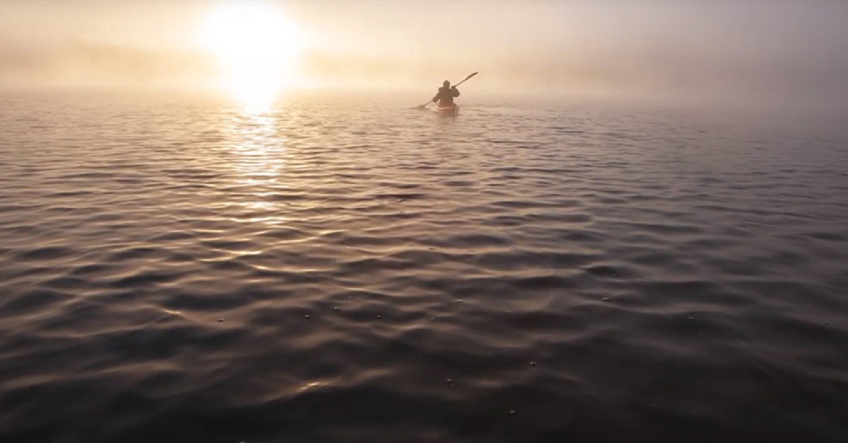 From Pandemic To Purpose   Man Paddling Boat 