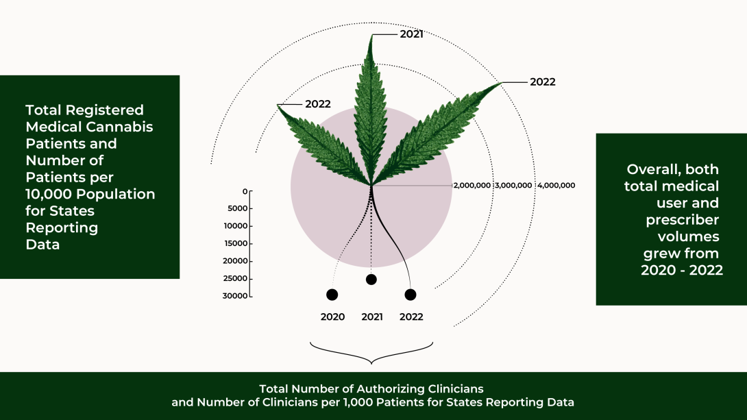 A three-pronged radar graph visualization with spokes made of marijuana leaves with their lengths corresponding to total use volume data. Underneath the leaves are three lines depicting the prescriber volumes. The years 2020 - 2022 are shown from left to right. Text reads, “Overall, both total medical user and prescriber volumes grew from 2020 - 2022.”