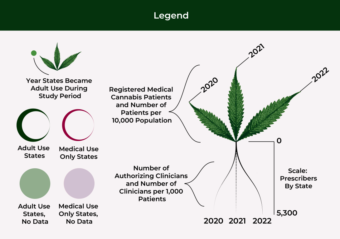 Legend for the “Visualizing Medical Cannabis Use & Prescriber Trends 2020 - 2022 data visualizations. This includes radar graph and line graph scales, and the visual key for line thickness and graphic elements for small multiples of state-level data.