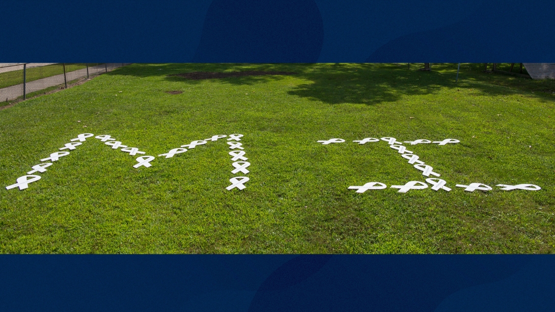 MI written in white ribbons on large green grass area