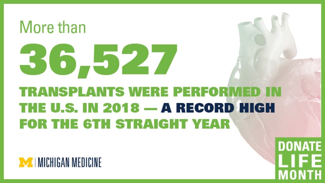 Strength In Numbers: How Organ Donation Saves Lives [Infographic]